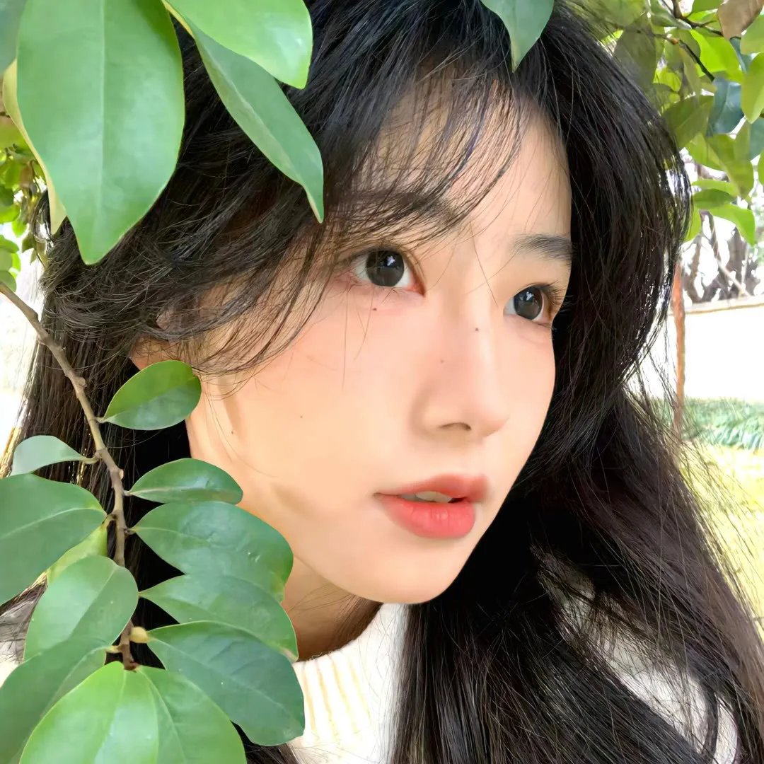 校园规则